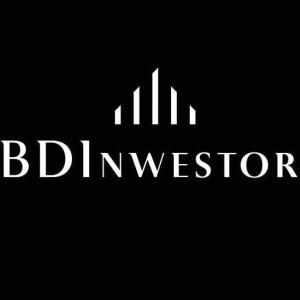 BDInwestor 2
